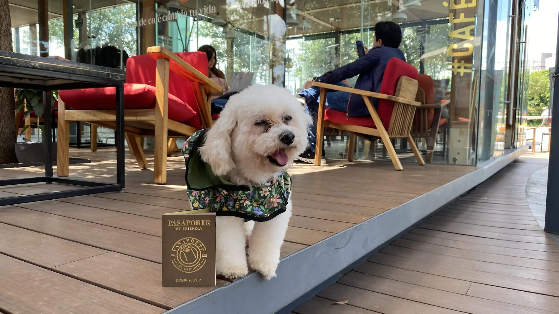 Pasaporte Petfriendly, una iniciativa perruna